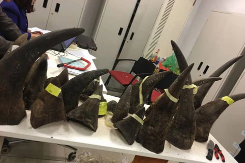 Phát hiện lô hàng "khủng" nghi sừng tê giác tại sân bay Nội Bài