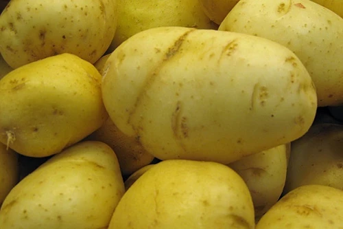 Lí do binh sĩ Syria thường xuyên ăn khoai tây