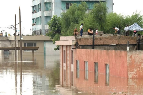 Triều Tiên: Lũ lụt khiến 133 người thiệt mạng, 395 người mất tích