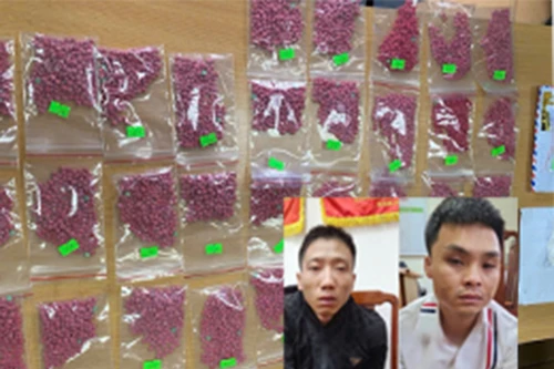 Nhóm nghiện lập đường dây vận chuyển “hàng” từ Tây Bắc đi tỉnh lân cận tiêu thụ