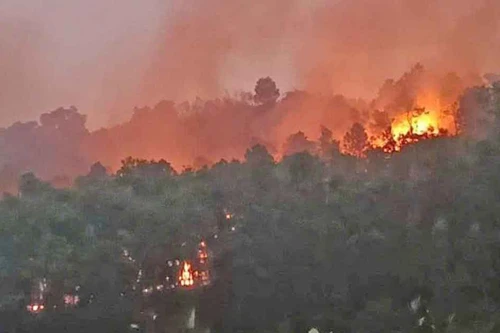 Điều tra, xử lý các vụ cháy rừng tại huyện Sóc Sơn