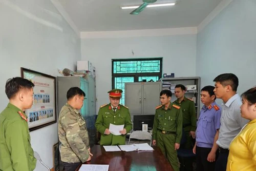 Tạm giam đối tượng vận chuyển trái phép gỗ quý 