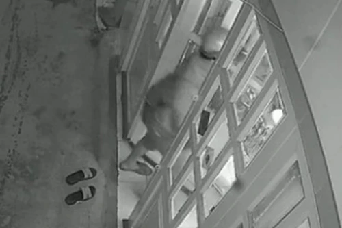 Bắt đối tượng chuyên đột nhập cơ quan Nhà nước trộm cắp tài sản