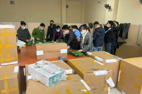 Thu trên 700kg ma túy các loại trong đường dây mua bán, vận chuyển từ Đồng Nai về Hà Nội