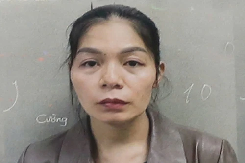 Cô giáo mầm non lừa đảo chiếm đoạt hơn 83,2 tỷ đồng