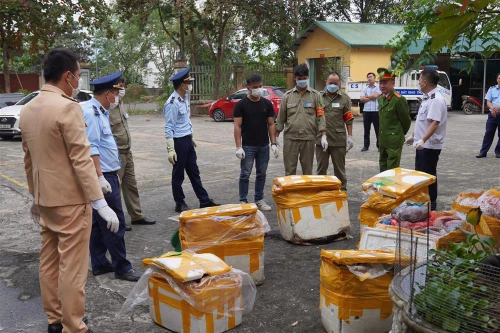 Phát hiện 1 tấn nội tạng động vật “bẩn”