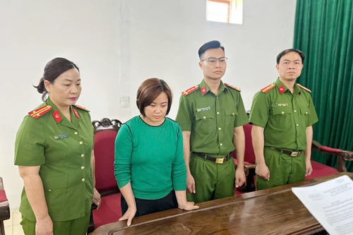 Khởi tố nữ Giám đốc làm giấy tờ giả