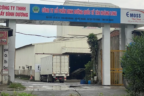 Công ty TNHH Giấy Bình Dương vi phạm quy định về phòng cháy, chữa cháy