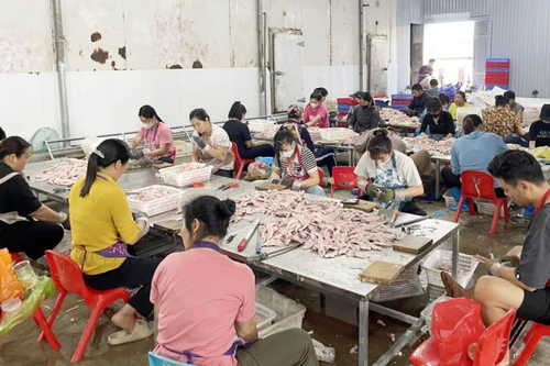 Phát hiện 2 tấn thực phẩm không rõ nguồn gốc 