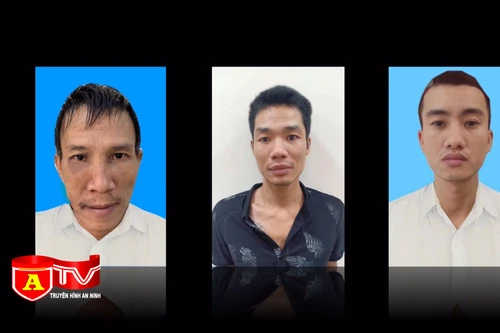 Triệt xóa đường dây chuyên trộm cắp, tiêu thụ xe gian