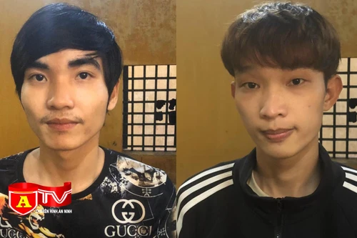 Hai anh em họ rủ nhau đi trộm cắp xe máy điện