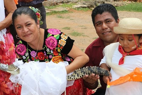  Mexico: Thị trưởng cưới cá sấu để cầu may