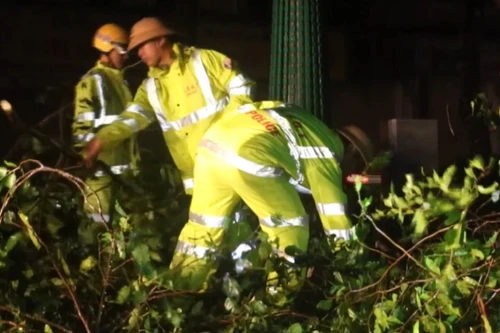 Nghệ An: Lực lượng CSGT xuyên đêm dọn dẹp cây đổ sau bão