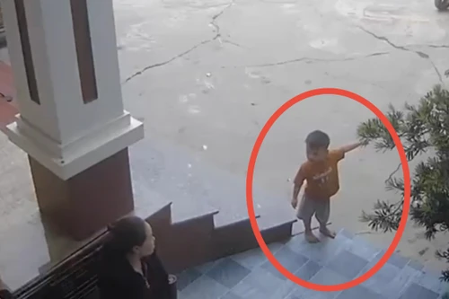 Bé trai 3 tuổi ở Nghệ An nhanh trí gọi người lớn cứu bạn đuối nước