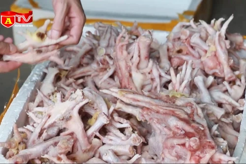 Phát hiện hàng ngàn chân gà, xúc xích, nem chua… không rõ nguồn gốc