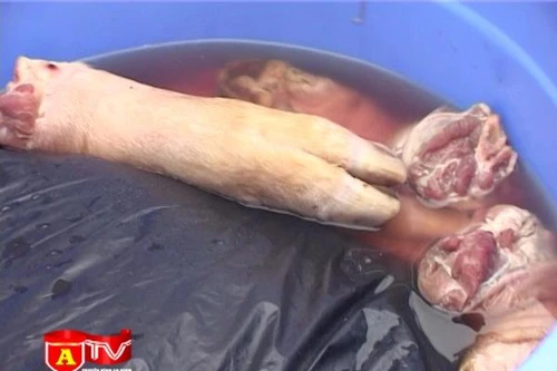 Thịt lợn đông lạnh và đồ chơi trẻ em không rõ nguồn gốc "đi" xe khách