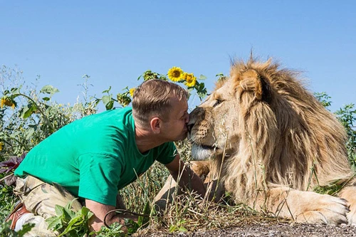 Ngắm bộ ảnh "siêu thực" về tình bạn đáng yêu của con người và sư tử 