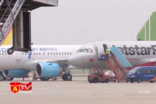 Tăng cường ngăn chặn hoạt động vận chuyển hàng cấm qua đường hàng không