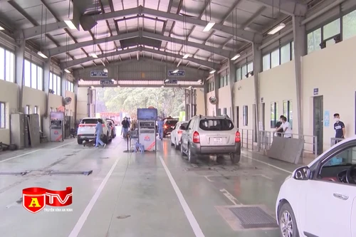 Tám triệu lượt đã truy cập tra cứu gia hạn kiểm định xe ô tô 