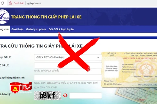 Đề nghị xử lý website giả mạo trang thông tin điện tử giấy phép lái xe