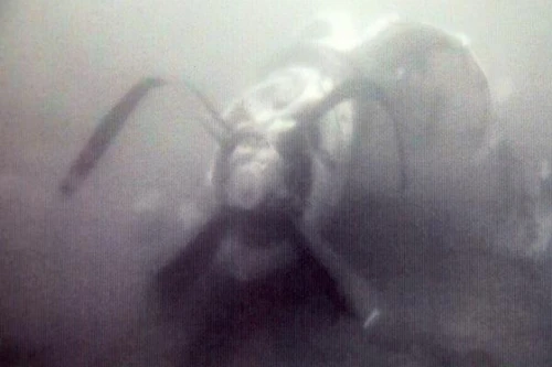 Tìm thấy động cơ CASA 212 và mảnh vỡ máy bay Su-30MK2