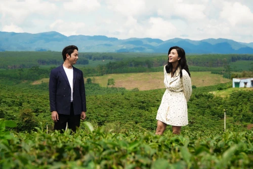 NSƯT Kim Tuyến hóa thân vào vai người nông dân trồng trà trong phim mới