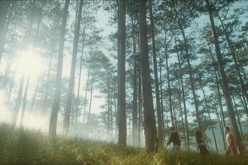 Tiết lộ về bộ phim nối sóng VTV sau khi "Cha tôi, người ở lại" kết thúc