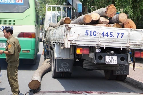 Cháu bé tử vong khi đứng xem xe tải cẩu cây dừa