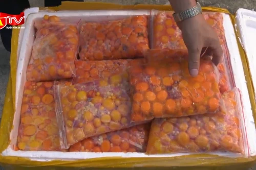 Ngăn chặn hơn nửa tấn trứng non nhập lậu ngay từ cửa khẩu 