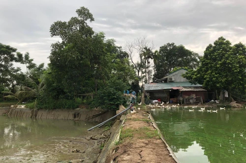 Chuyện chưa kể về cuộc đấu trí với đối tượng giết, cướp, phi tang xác nạn nhân dưới sông