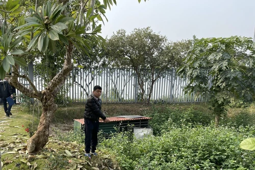 Cảnh sát hình sự Công an Hà Nội 'hốt' ổ nhóm đánh bạc, 'tín dụng đen' thu giữ vũ khí 'nóng'