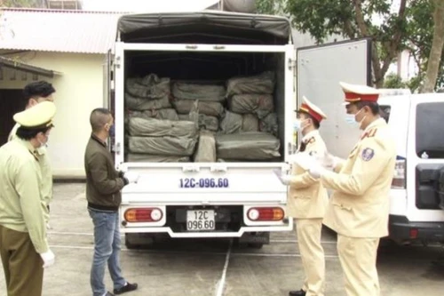 Dùng biển giả, lái xe tải chở 2,5 tấn nầm lợn không nguồn gốc
