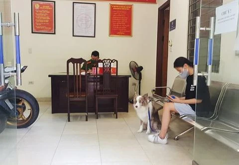 Phạt 2 triệu đồng cô gái dắt thú cưng đi dạo trong ngày giãn cách xã hội