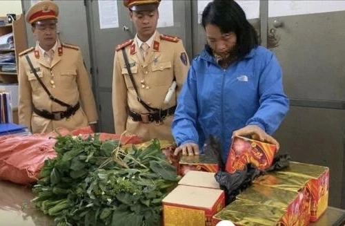 Nhồi nhét gần 15kg pháo trên xe khách để tiêu thụ dịp Tết