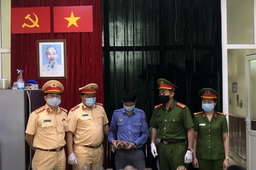 Phát hiện 17 cá thể rùa quý hiếm trên tàu hoả