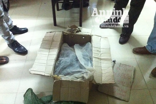 Rắn hổ mang “đạo náo” trên xe khách