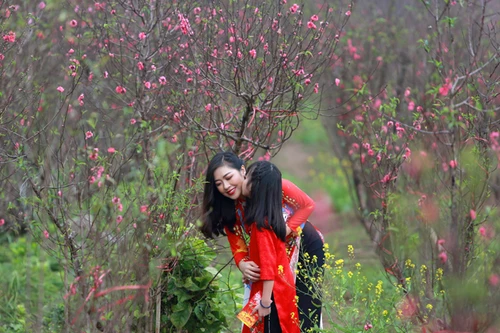 Khoảnh khắc đẹp của mẹ và con bên vườn đào Nhật Tân