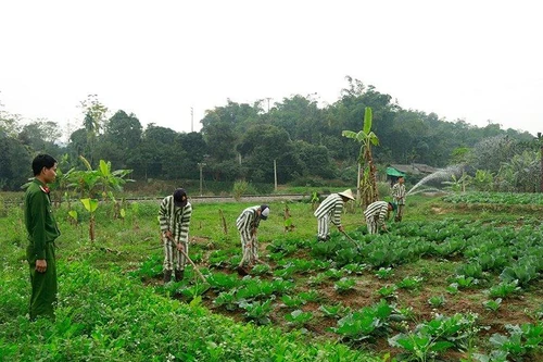 Sắp thay đổi hệ thống cơ quan thi hành tạm giữ, tạm giam và cấm đi khỏi nơi cư trú?