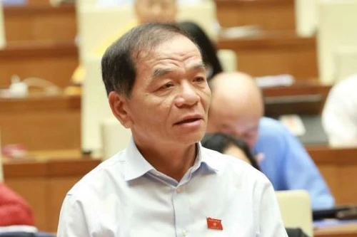 Sau vụ "bánh mì không phải thực phẩm thiết yếu": Đại biểu Quốc hội yêu cầu giám sát bổ nhiệm cán bộ