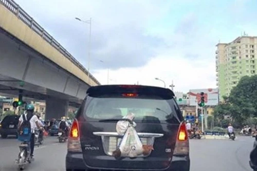 Che biển số xe nhằm tránh "phạt nguội" sẽ bị xử lý nghiêm