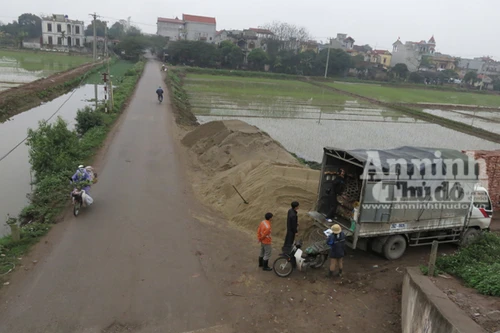 Mập mờ buôn bán gia cầm ở địa bàn giáp ranh, "né" kiểm dịch