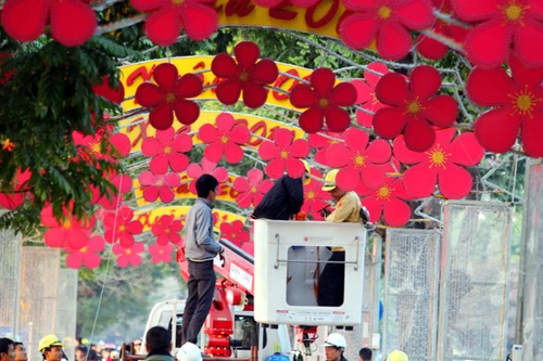 Xuân về trên phố, ngày rực rỡ hoa, đêm lung linh sắc đèn màu