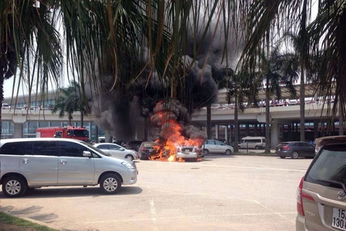 3 ô tô đột nhiên phát cháy, nghi “thủ phạm” do chuột cắn dây điện