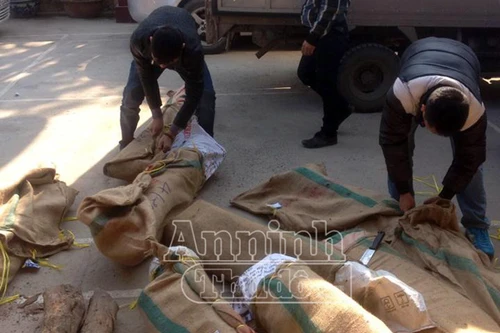 Gỗ quý từ phía Nam đóng bao tải “lọt” ra Nội Bài 