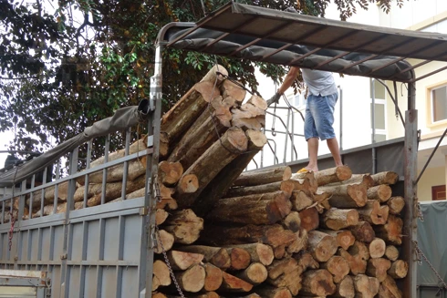 Bắt xe tải chở gỗ lậu từ Đắk Lắk đi TP.HCM