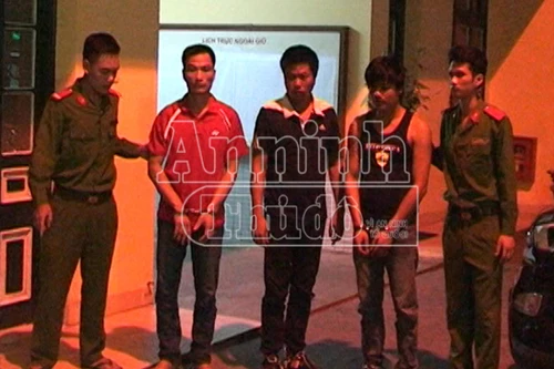 Triệt xoá ổ nhóm "sưa tặc"