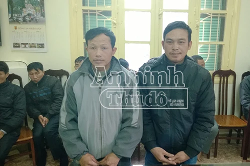 Khách đi đường phát hoảng vì bị “cò” đuổi