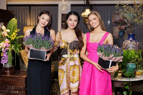 Trương Ngọc Ánh chào đón các Miss Earth 2022 đến Việt Nam