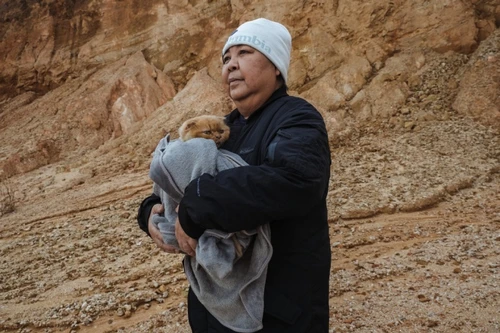 Ngắm nhìn một Việt Nam sắc màu ngày Tết qua lăng kính của "Hành trình Minh & Ping" 