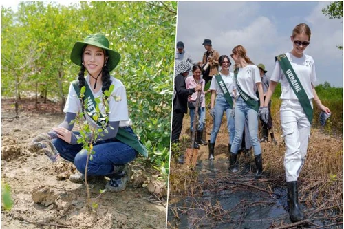 Hoa hậu Lan Anh cùng dàn người đẹp Miss Earth 2023 trồng cây tại Cần Giờ